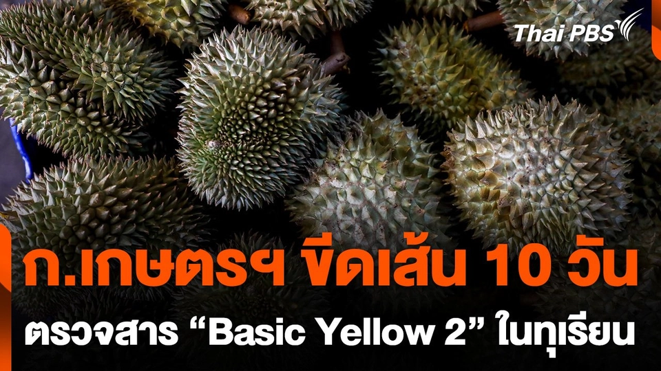 ก.เกษตรฯ ขีดเส้น 10 วัน ตรวจสาร "Basic Yellow 2" ในทุเรียน