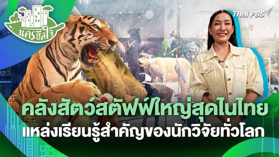 นครฮีลใจ : คลังสัตว์สตัฟฟ์ใหญ่สุดไนไทย แหล่งเรียนรู้สำคัญของนักวิจัยทั่วโลก