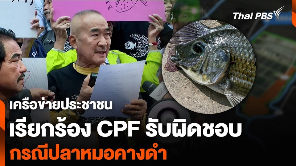 เครือข่ายประชาชน เรียกร้อง CPF รับผิดชอบ กรณีปลาหมอคางดำ