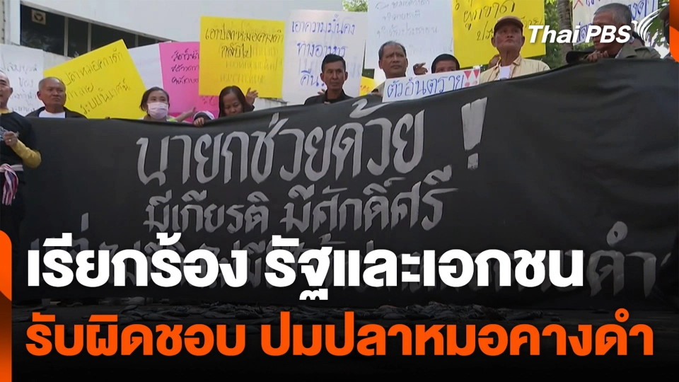 เรียกร้อง รัฐและเอกชน รับผิดชอบ ปมปลาหมอคางดำ