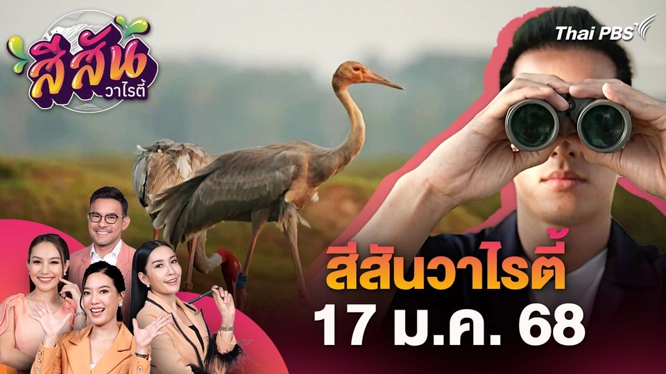 สีสันวาไรตี้ (17 ม.ค. 68)