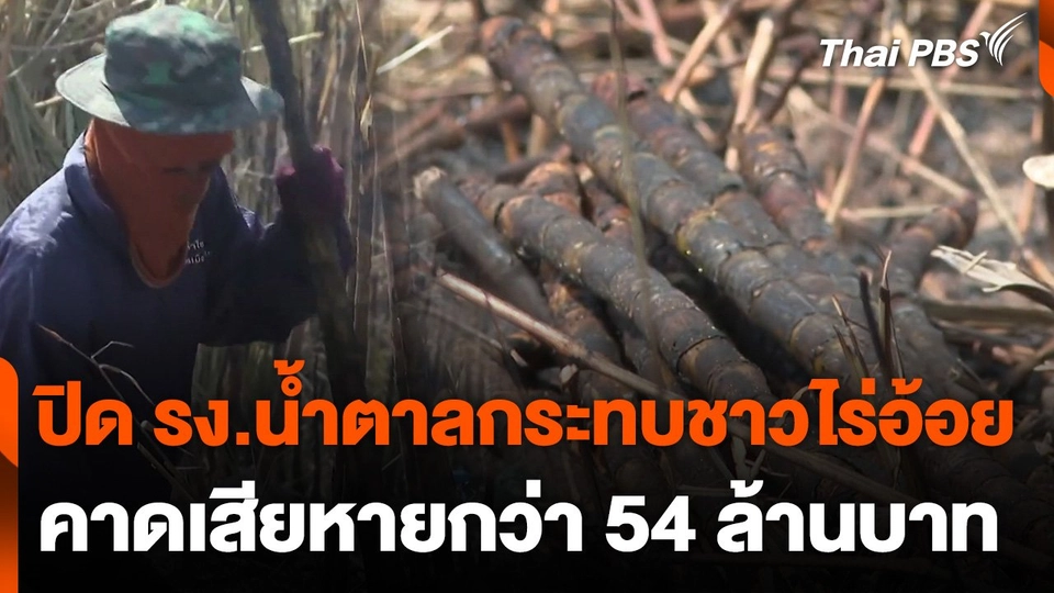 ปิดโรงงานน้ำตาลกระทบชาวไร่อ้อย จ.อุดรธานี คาดเสียหาย 54 ล้านบาท