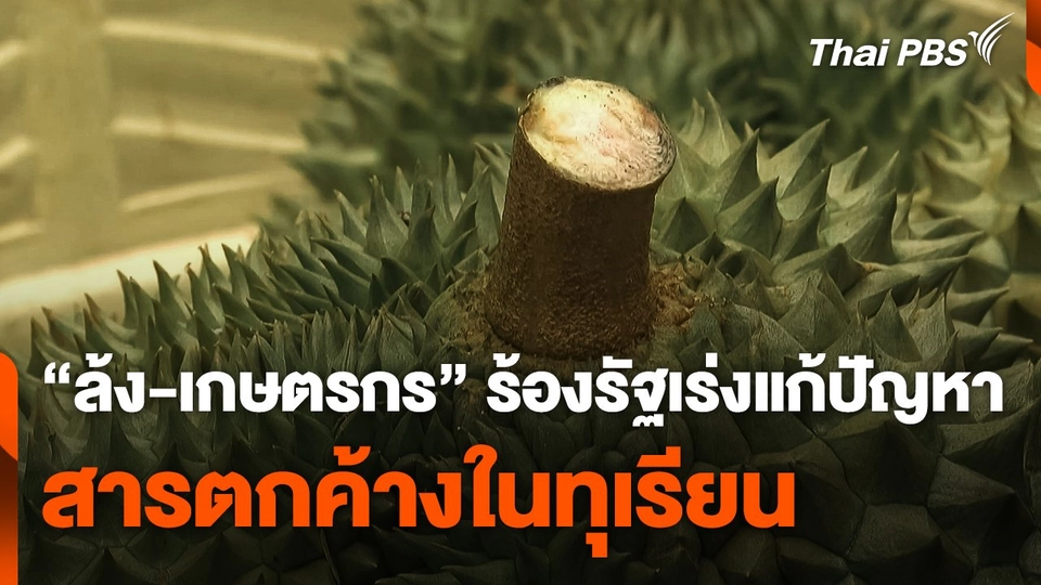 "ล้ง-เกษตรกร" ร้องรัฐเร่งแก้ปัญหาสารตกค้างในทุเรียน