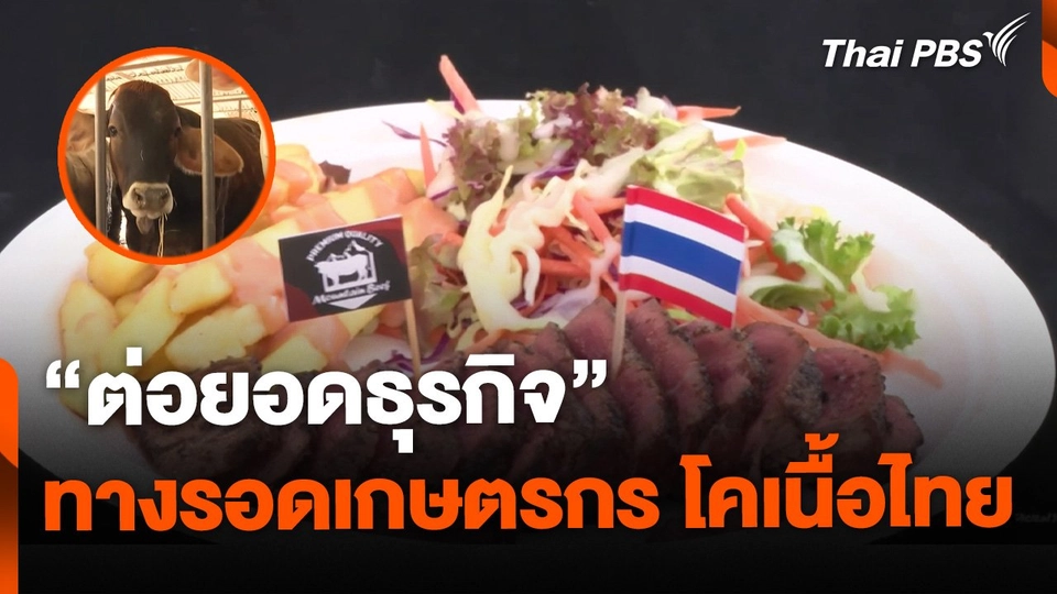 "ต่อยอดธุรกิจ" ทางรอดเกษตรกร ผู้เลี้ยงโคเนื้อไทย
