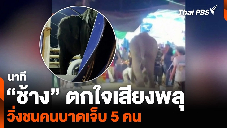 นาที “ช้าง” ตกใจเสียงพลุ วิ่งชนคนบาดเจ็บ 5 คน
