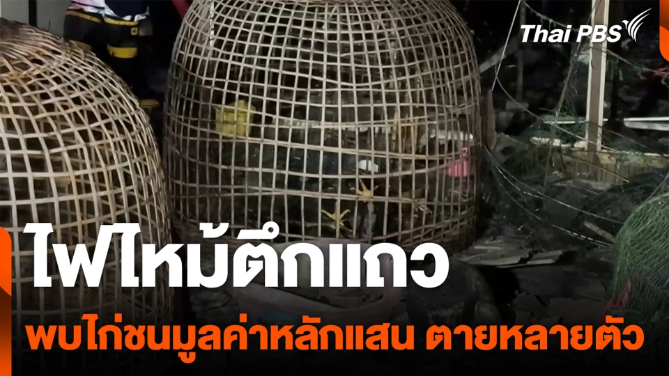 ไฟไหม้ตึกแถว พบไก่ชนมูลค่าหลักแสน ตายหลายตัว