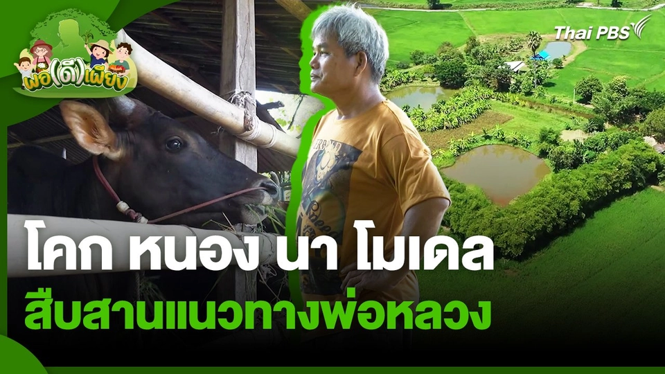 พอดีพอเพียง : โคก หนอง นา โมเดล สืบสานแนวทางพ่อหลวง
