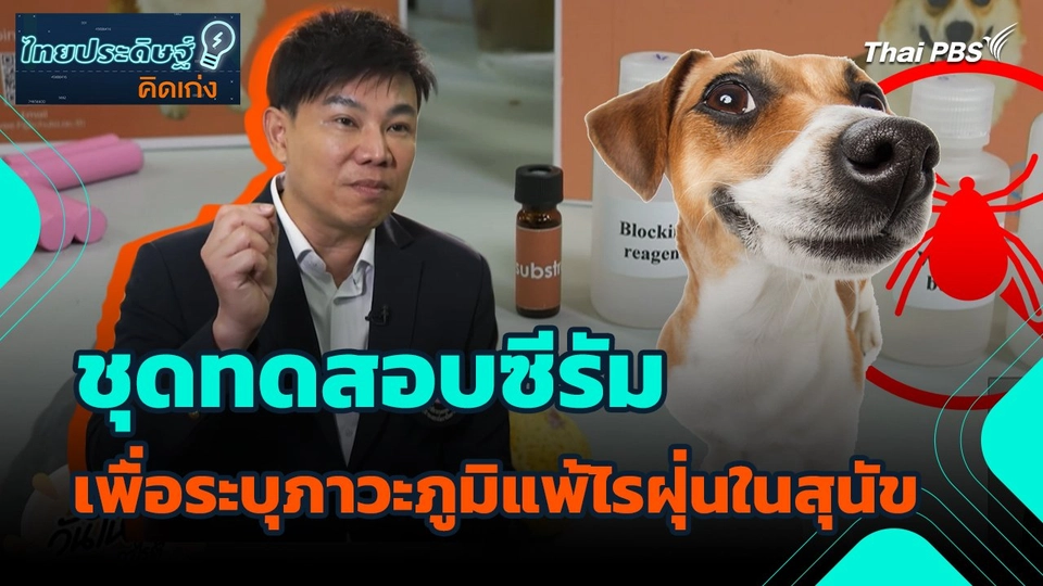 ไทยประดิษฐ์คิดเก่ง : ชุดทดสอบซีรัมเพื่อระบุภาวะภูมิแพ้ไรฝุ่นในสุนัข