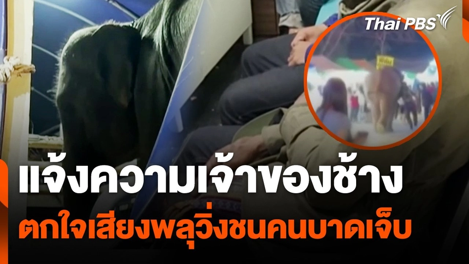 แจ้งความเจ้าของช้างตกใจเสียงพลุวิ่งชนคนบาดเจ็บ