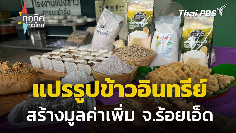 ปลูกและแปรรูปข้าวอินทรีย์เพิ่มมูลค่า จ.ร้อยเอ็ด