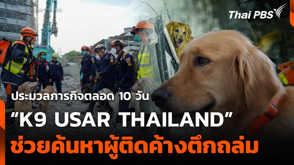 สุดยอดภารกิจค้นหาผู้ติดค้าง "K9 USAR THAILAND"