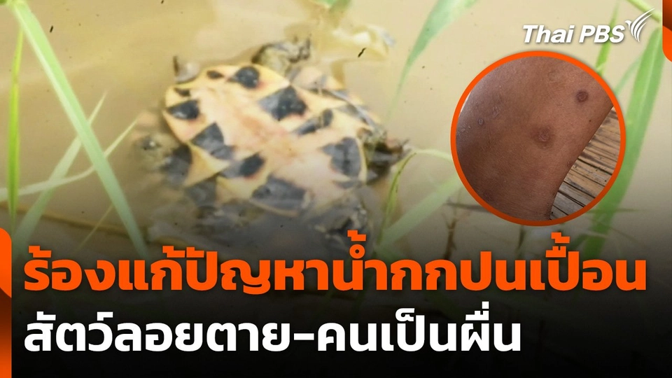 ร้องหน่วยงานเร่งแก้ปัญหาน้ำกกปนเปื้อนสารหนู