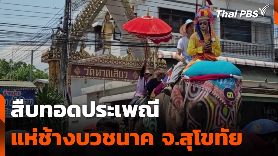 สืบทอดประเพณี แห่ช้างบวชนาค จ.สุโขทัย