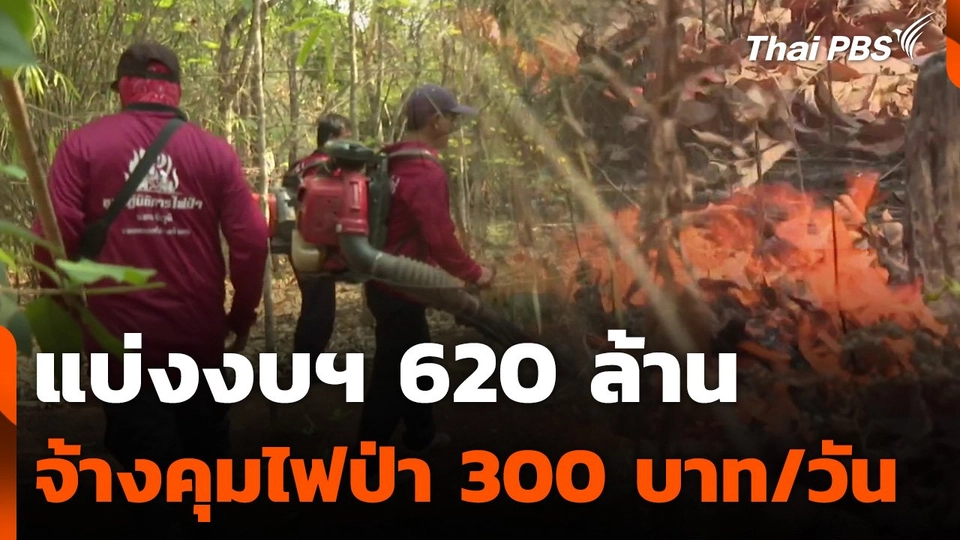 แบ่งงบฯ 620 ล้าน จ้างชาวบ้านคุมไฟป่า 300 บาทต่อวัน