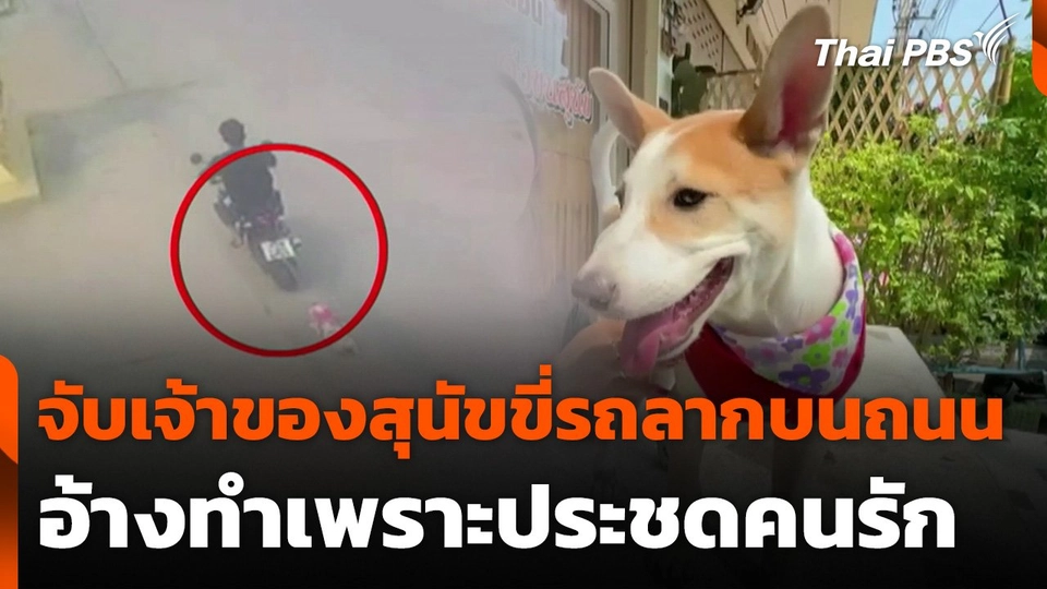 จับเจ้าของสุนัขขี่รถลากบนถนน อ้างประชดคนรัก