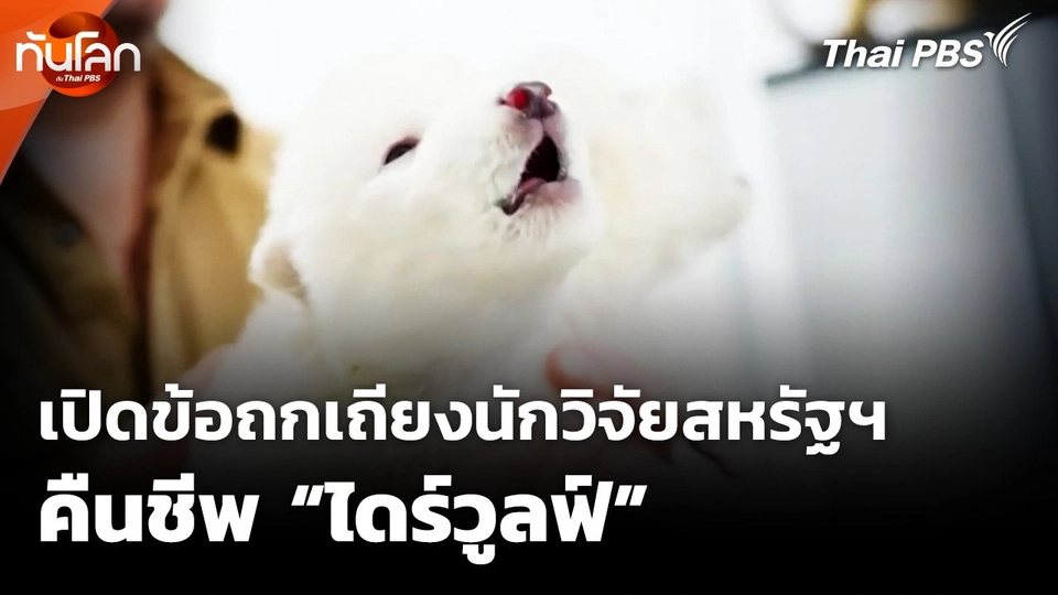 เปิดข้อถกเถียงนักวิจัยสหรัฐฯ คืนชีพ "ไดร์วูลฟ์"