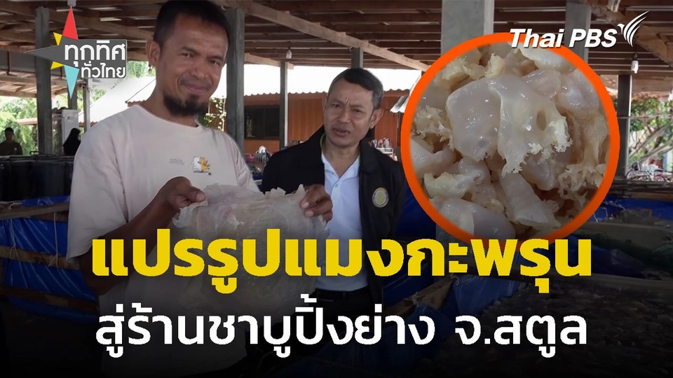 แปรรูปแมงกะพรุนลอดช่อง สู่ร้านชาบูปิ้งย่าง จ.สตูล