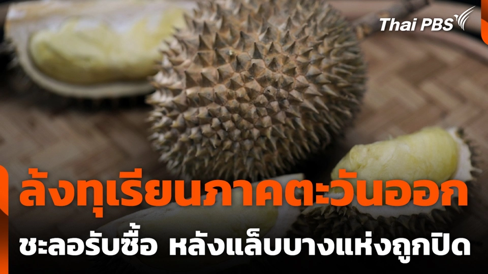 ล้งทุเรียนภาคตะวันออก ชะลอรับซื้อ หลังแล็บบางแห่งถูกปิด