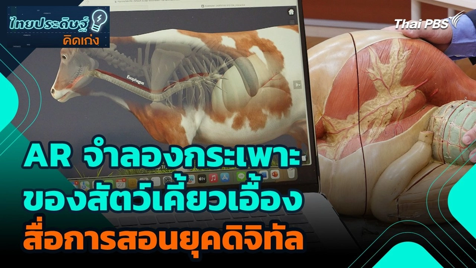 ไทยประดิษฐ์คิดเก่ง : AR จำลองกระเพาะของสัตว์เคี้ยวเอื้อง สื่อการสอนยุคดิจิทัล