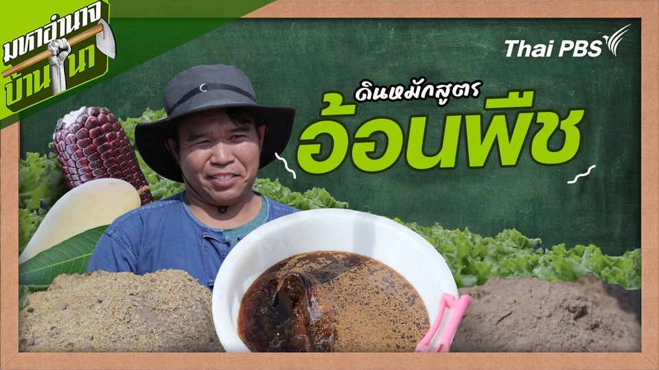 สูตรลับฉบับบ้านนา : ดินหมักสูตรอ้อนพืช