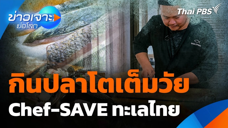 กินปลาโตเต็มวัย Chef-SAVE ทะเลไทย