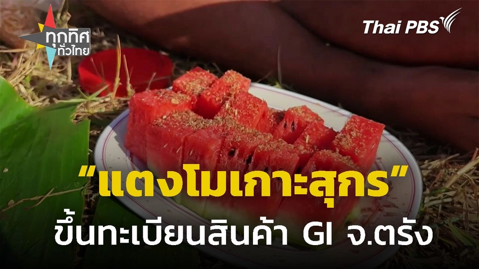 "แตงโมเกาะสุกร" ได้ขึ้นทะเบียนสินค้า GI จ.ตรัง