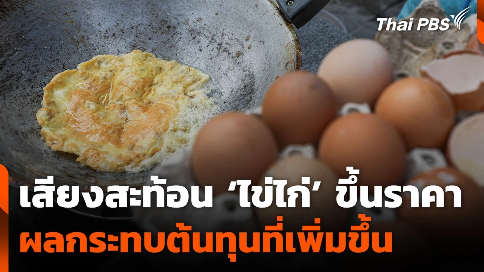 เสียงสะท้อน ‘ไข่ไก่’ ขึ้นราคา ผลกระทบต้นทุนที่เพิ่มขึ้น