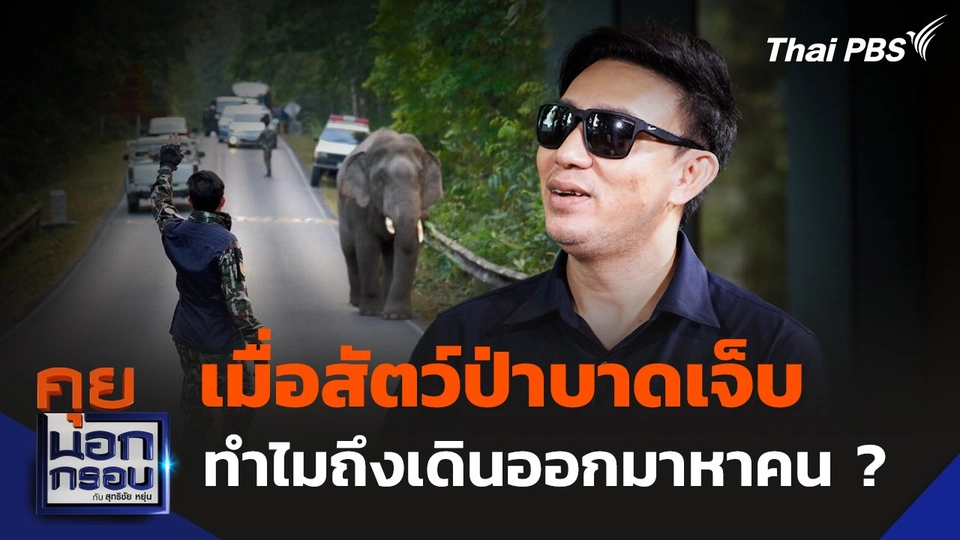 เบื้องหลังการรักษา "สัตว์ป่า" เจ็บป่วย กับ "หมอล็อต"