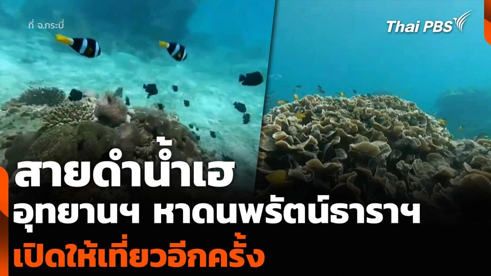 สายดำน้ำเฮ อุทยานฯ หาดนพรัตน์ธาราฯ เปิดให้เที่ยวอีกครั้ง
