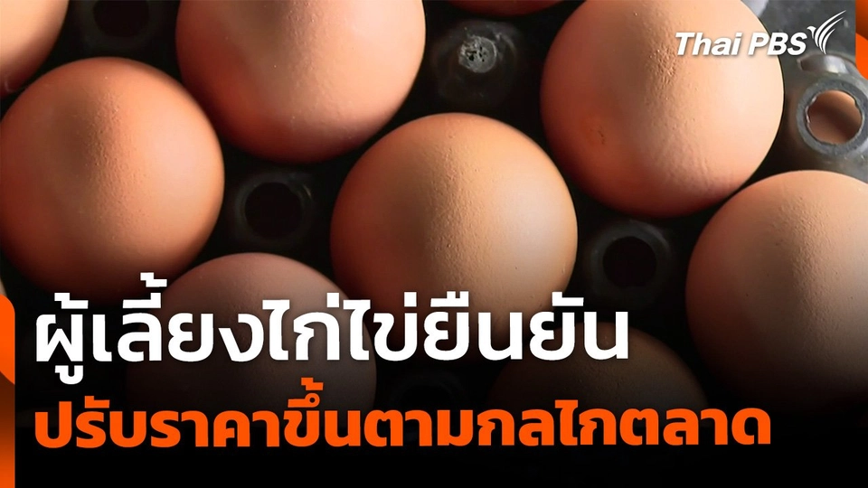 ผู้เลี้ยงไก่ไข่ยืนยัน "ราคาไข่" ปรับตามกลไกตลาด