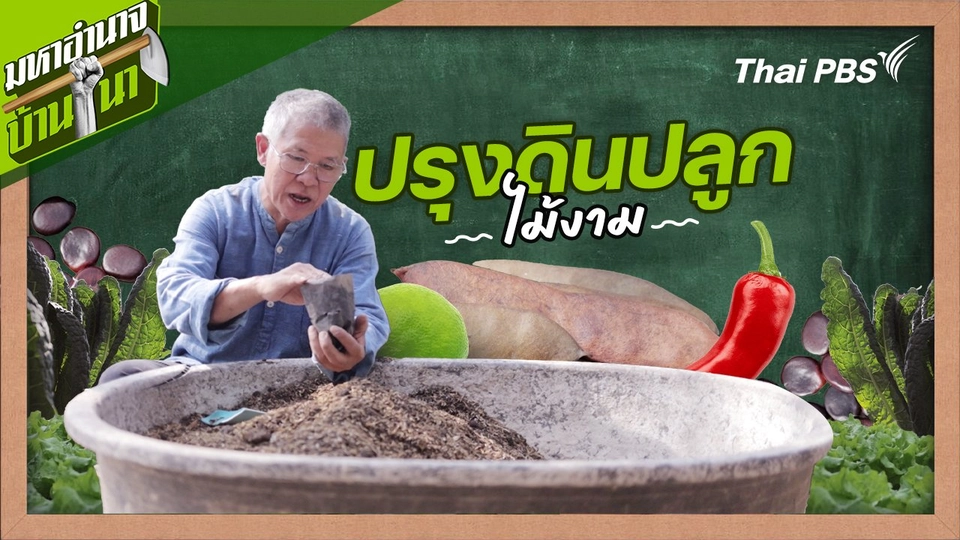 สูตรลับฉบับบ้านนา : ปรุงดินปลูกไม้งาม