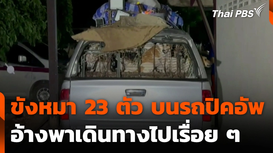 ขังหมา 23 ตัว บนรถปิคอัพ อ้างพาเดินทางไปเรื่อย ๆ