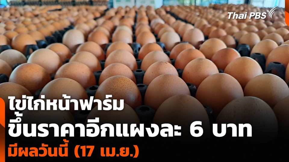 ไข่ไก่หน้าฟาร์ม ขึ้นราคาอีกแผงละ 6 บาท มีผลวันนี้ (17 เม.ย.)