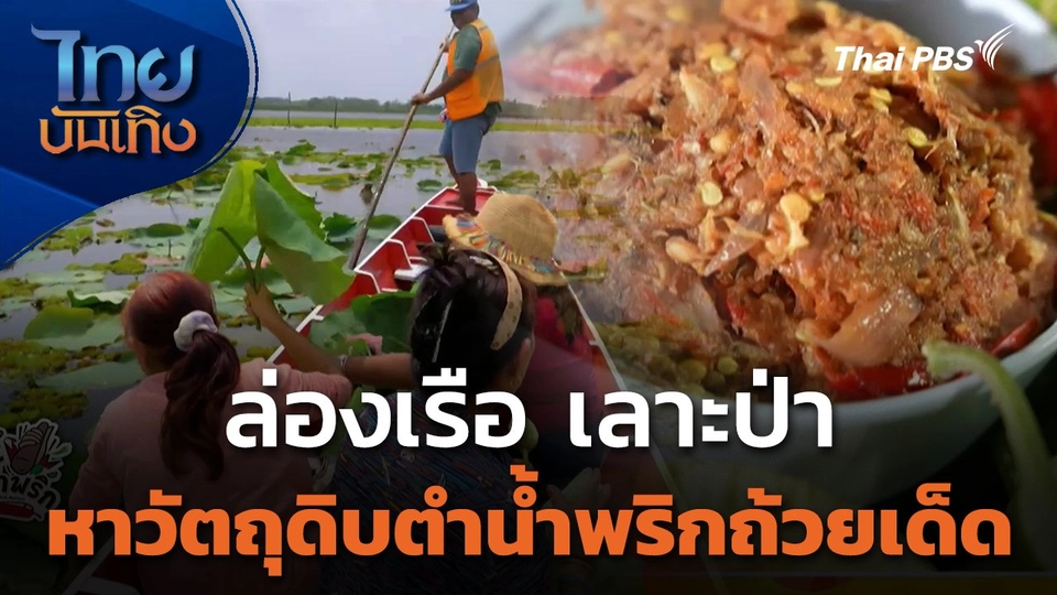 ล่องเรือ เลาะป่า หาวัตถุดิบตำน้ำพริกถ้วยเด็ด