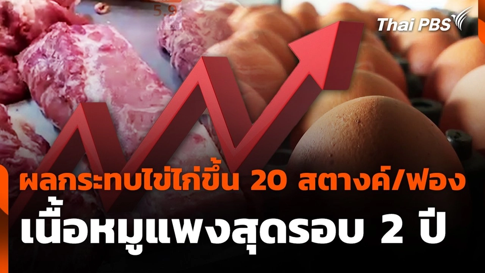 ผลกระทบไข่ไก่ขึ้น 20 สตางค์/ฟอง - เนื้อหมูแพงสุดรอบ 2 ปี
