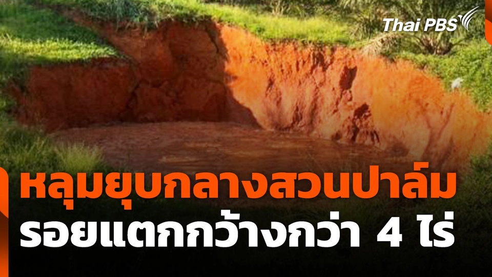 หลุมยุบกลางสวนปาล์ม - รอยแตกกว้างกว่า 4 ไร่