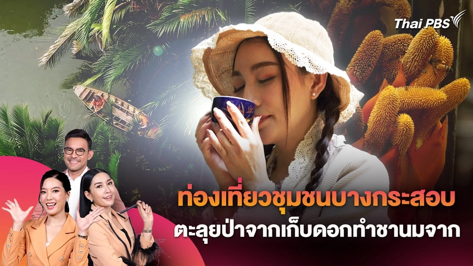 ท่องเที่ยวชุมชนบางกระสอบ ตะลุยป่าจากเก็บดอกทำชานมจาก จ.สมุทรปราการ