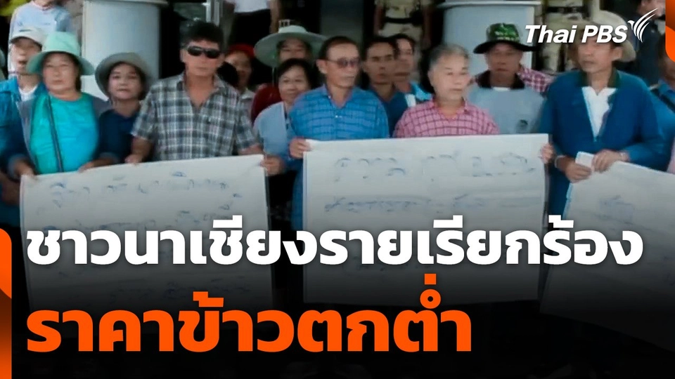 ชาวนาเรียกร้องราคาข้าวตกต่ำ จ.เชียงราย