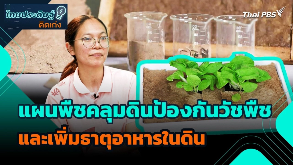 ไทยประดิษฐ์คิดเก่ง : แผนพืชคลุมดินป้องกันวัชพืช และเพิ่มธาตุอาหารในดิน