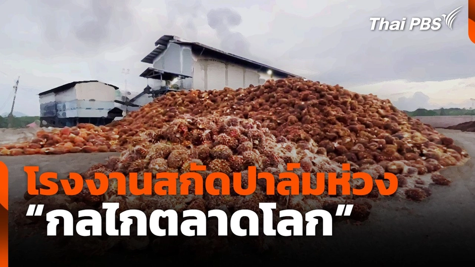 โรงงานสกัดปาล์มห่วง "กลไกตลาดโลก"