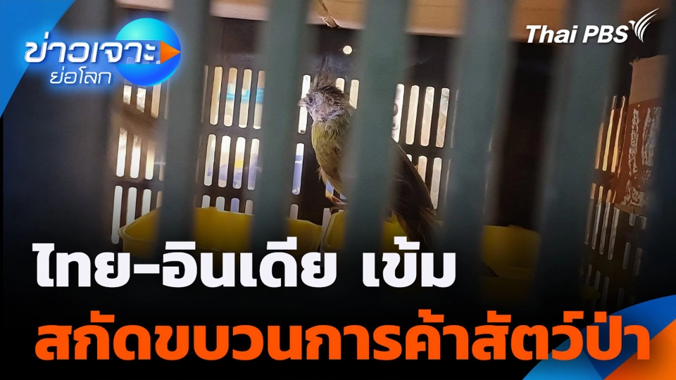 ไทย-อินเดีย เข้ม สกัดขบวนการค้าสัตว์ป่า