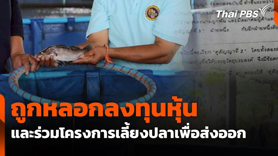 สถานีร้องเรียน : ถูกหลอกลงทุนหุ้นและร่วมโครงการเลี้ยงปลาเพื่อส่งออก