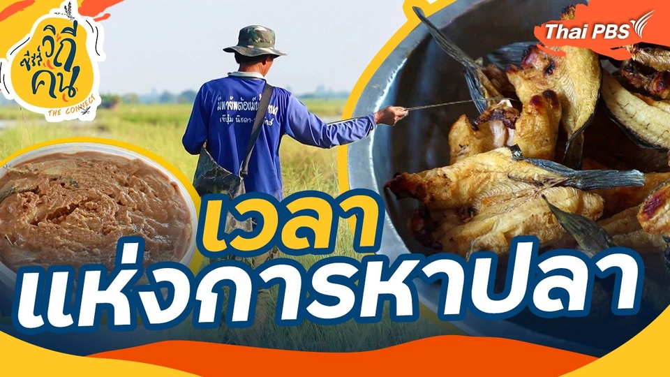 ​เวลาแห่งการหาปลา