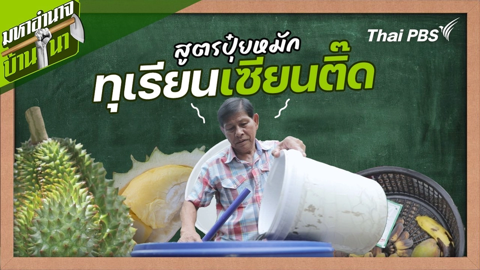 สูตรลับฉบับบ้านนา : ปุ๋ยหมักทุเรียนเซียนติ๊ด