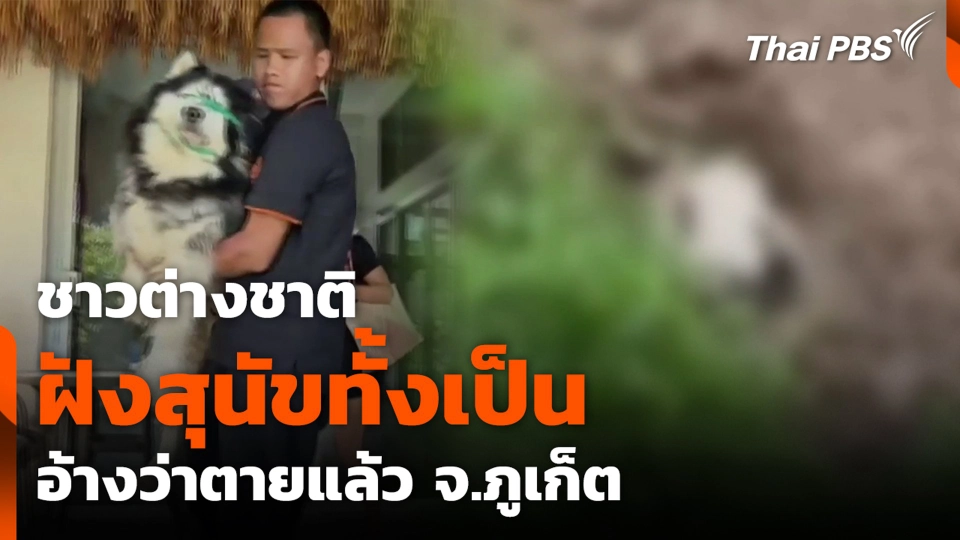 ชาวต่างชาติฝังสุนัขทั้งเป็นอ้างว่าตายแล้ว จ.ภูเก็ต