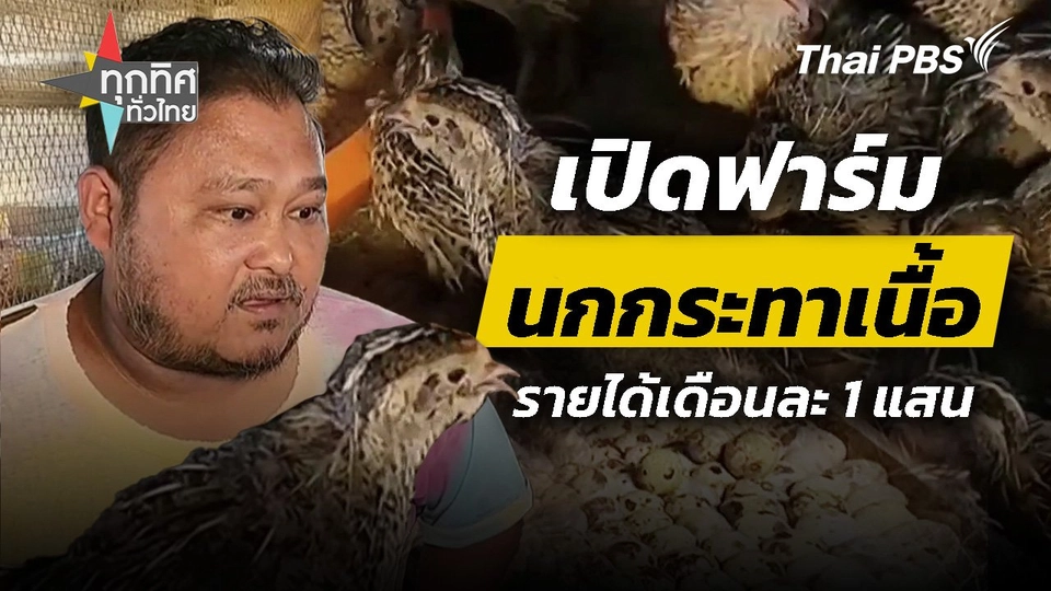 ชาวนาเปิดฟาร์มนกกระทาเนื้อ จ.พระนครศรีอยุธยา รายได้เดือนละ 1 แสน