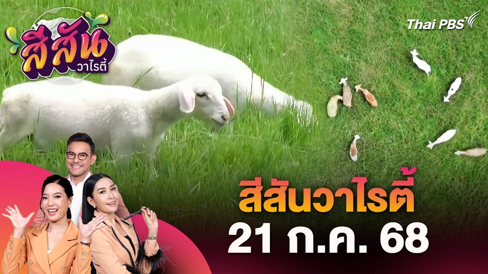 สีสันวาไรตี้ (21 ก.ค. 68)