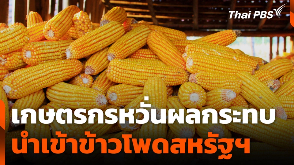 เกษตรกรหวั่นผลกระทบนำเข้าข้าวโพดสหรัฐฯ