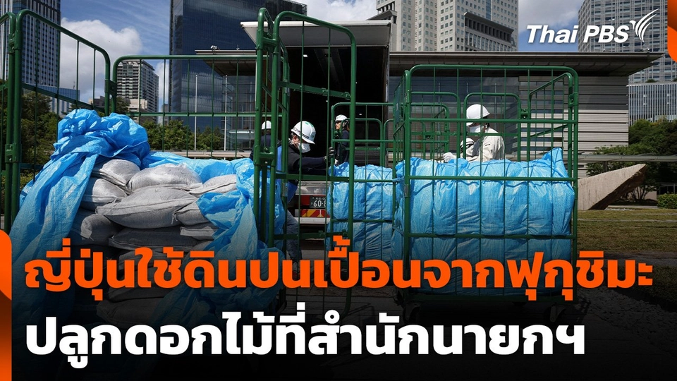 ญี่ปุ่นใช้ดินปนเปื้อนสารกัมมันตรังสีจากฟุกุชิมะ ปลูกดอกไม้ที่สำนักนายกฯ