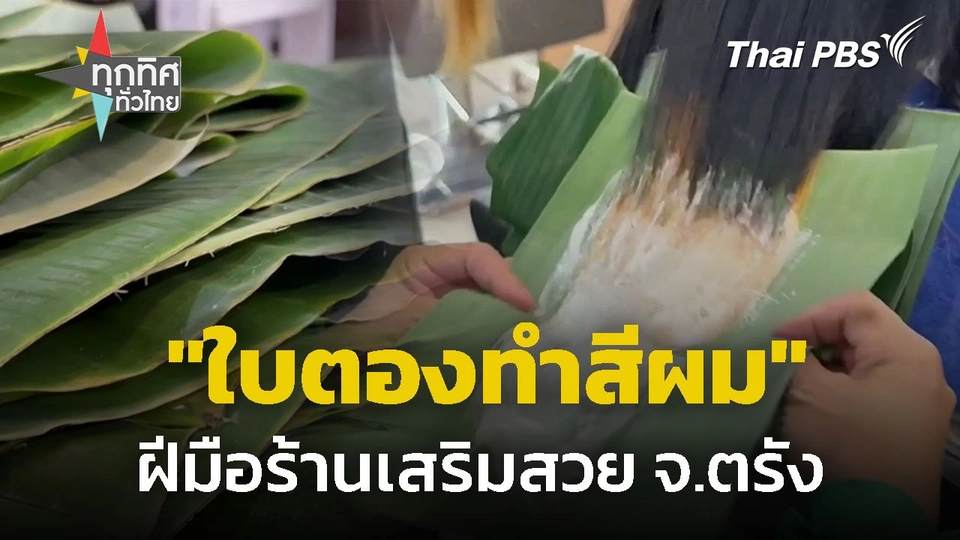 "ใบตองทำสีผม" ฝีมือร้านเสริมสวย จ.ตรัง